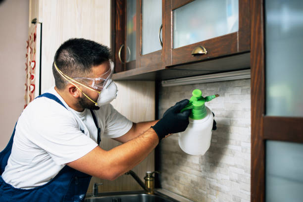 Pest Prevention Services in Black Jack, MO